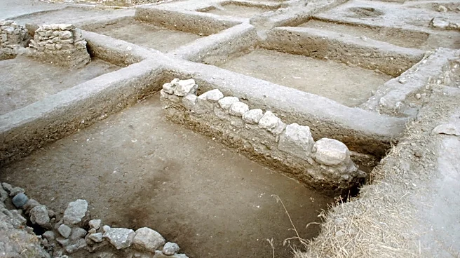 Russia’s Hermitage Museum Suspends Archaeological Expeditions in Crimea, Citing Fuel Shortage