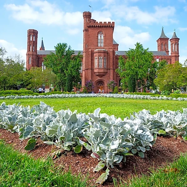 White House Report Claims Smithsonian Museum ‘Erases’ Heritage, Another Jewelry Heist at a French Museum, and More: Morning Links for July 6, 2026