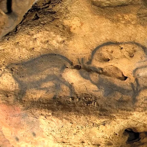 French Scientists Precisely Date Paleolithic Cave Paintings for the First Time to 13,000 Years Old