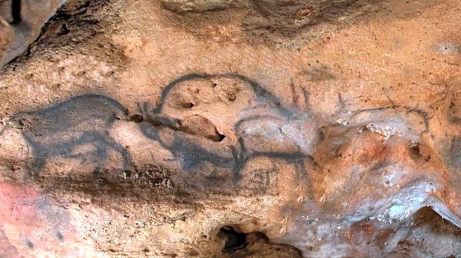 French Scientists Precisely Date Paleolithic Cave Paintings for the First Time to 13,000 Years Old