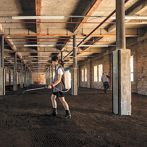 We Asked Claudia Rankine to Name One Artwork She Considers a “Revelation”
