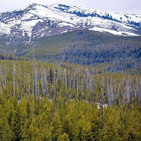 Wyoming Association of Archaeologists Sues Federal Government Over NAGPRA Regulations