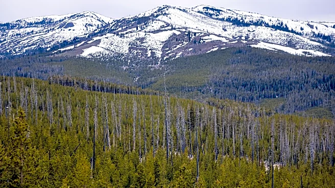 Wyoming Association of Archaeologists Sues Federal Government Over NAGPRA Regulations