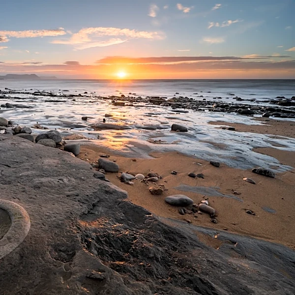 Sale of a “Stunning” UK Fossil Collection to the Natural History Museum Abu Dhabi Sparks Controversy