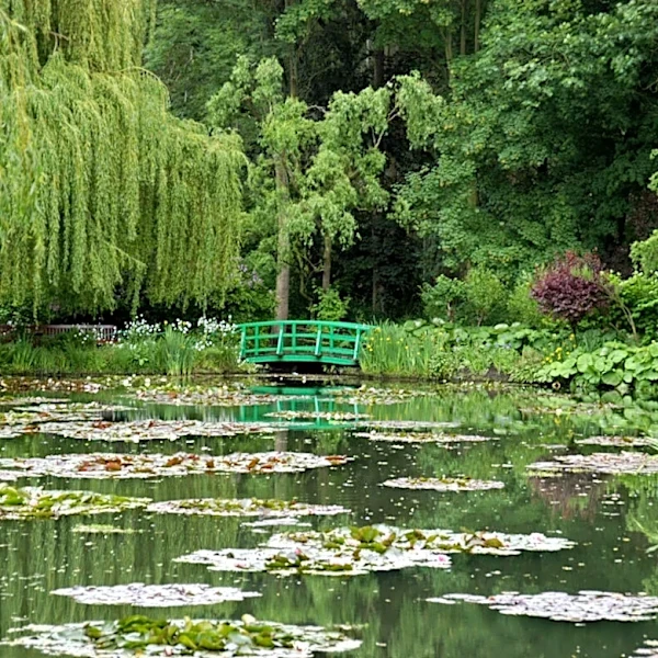 Crushing Heat Waves in France Threaten Monet’s Gardens in Giverny