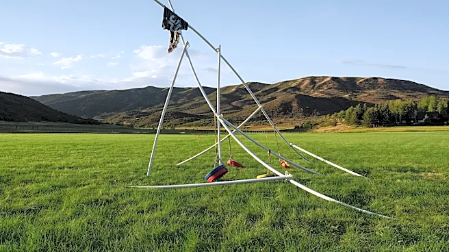 Matthew Barney on His Latest Sculpture, Remote on a Colorado Ranch