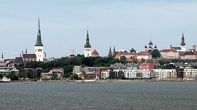 Estonian Artists Donate Artworks for Auction Following $800,000 Bank Scam