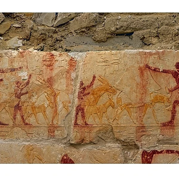 Well-Preserved Tomb of Ancient Egyptian Official Found Near Saqqara