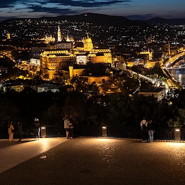 Planned SANAA Architect Project in Hungary to Be Turned Into Public Parkland