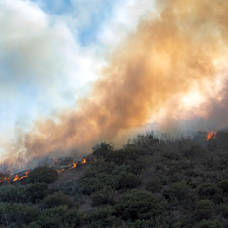 Family of Holocaust Victim Made Restitution Request for One of Two Stolen Renoir Paintings, Wildfire Forces Getty Center to Close, and More: Mornin...