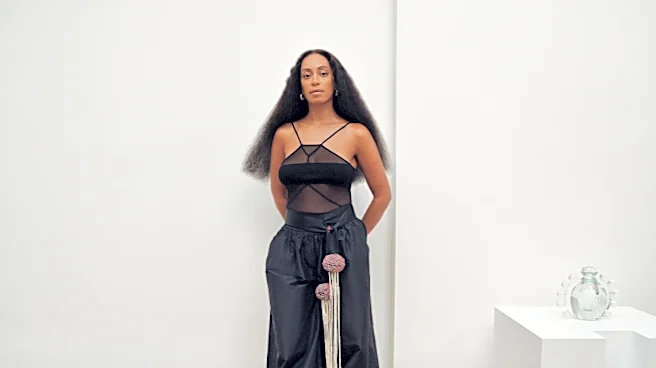 Solange Knowles Will Show Large-Scale Sculpture on New York’s High Line