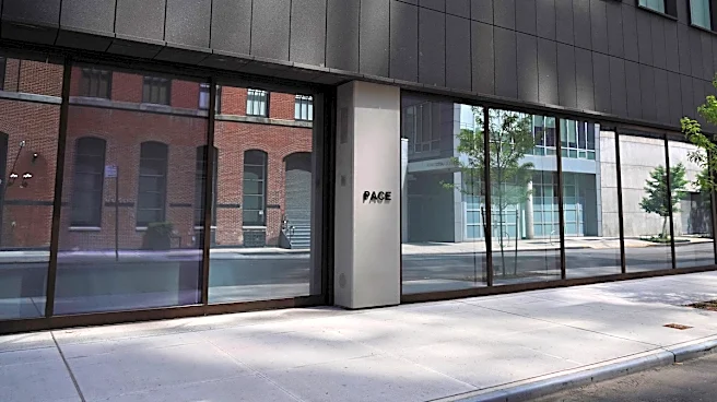 Pace Gallery Is Seeking a Tenant for Part of Its New York Headquarters