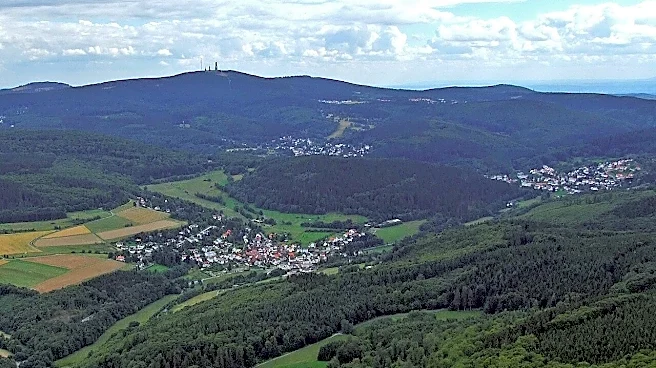 Remains of a Roman Temple Discovered in Germany’s Taunus Forest