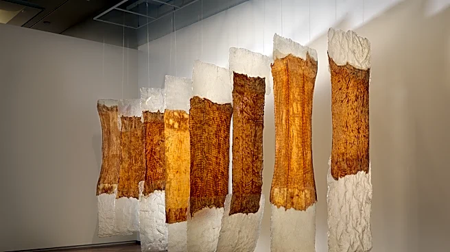 MoMA to Stage Eva Hesse’s First Major US Museum Exhibition in Two Decades