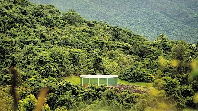 Brazil’s Inhotim Marks 20 Years and Looks to a Future Beyond Its Founder