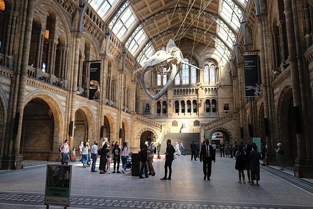 Dino Bones Held in UK Museum for 100 Years Identified as New Species