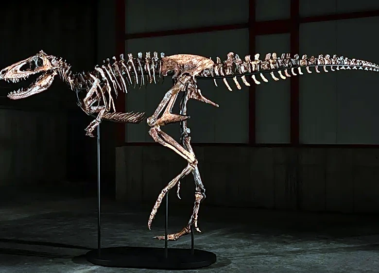 Sotheby’s Dinosaur ‘Jodi’ Sells for $47.3 M., More Than Five Times Its High Estimate