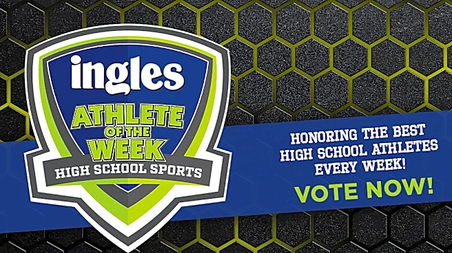 Vote for the Ingles WNC football preseason player of the year