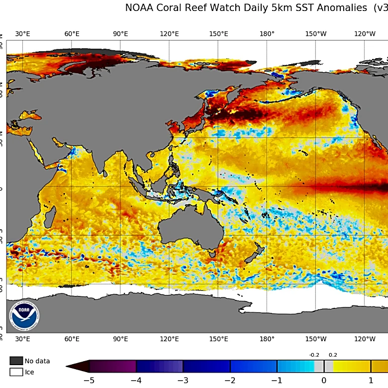 Will there be a 'super El Niño' this year? How it could affect NC