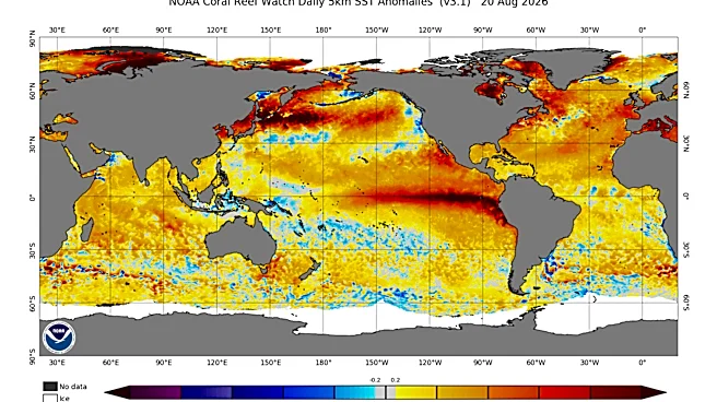 Will there be a 'super El Niño' this year? How it could affect NC