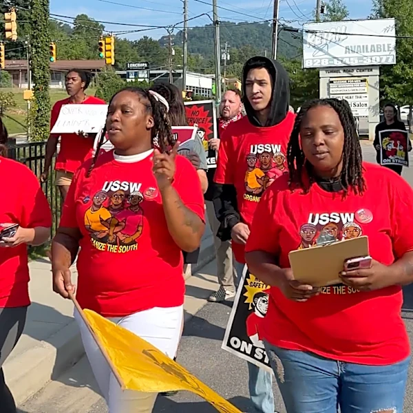 Asheville Wingstop employees end labor strike, but return with demands