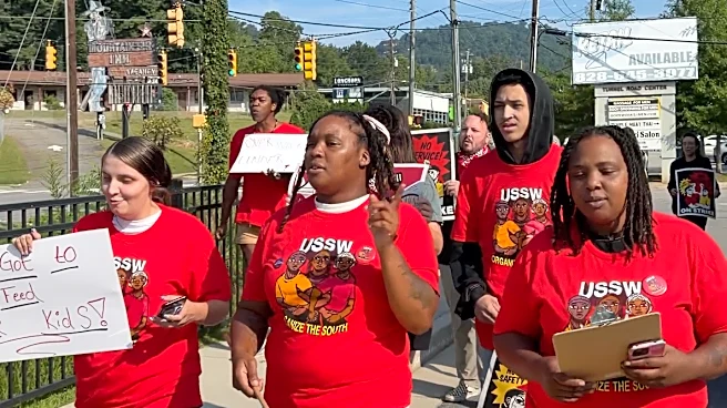 Asheville Wingstop employees end labor strike, but return with demands
