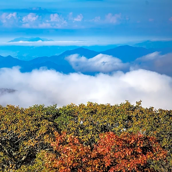 Fall is coming. Here's when it usually gets cold in Western NC