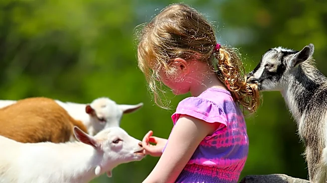 Possible rabies exposure in 7 NC counties after baby goats test positive