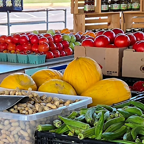 Hunger crisis widens in NC as food banks face more demand, federal cuts