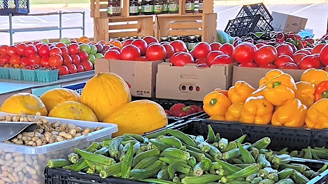 Hunger crisis widens in NC as food banks face more demand, federal cuts