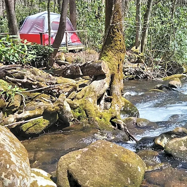 Hipcamp's 2026's best NC campsites includes 8 top ones in Western NC