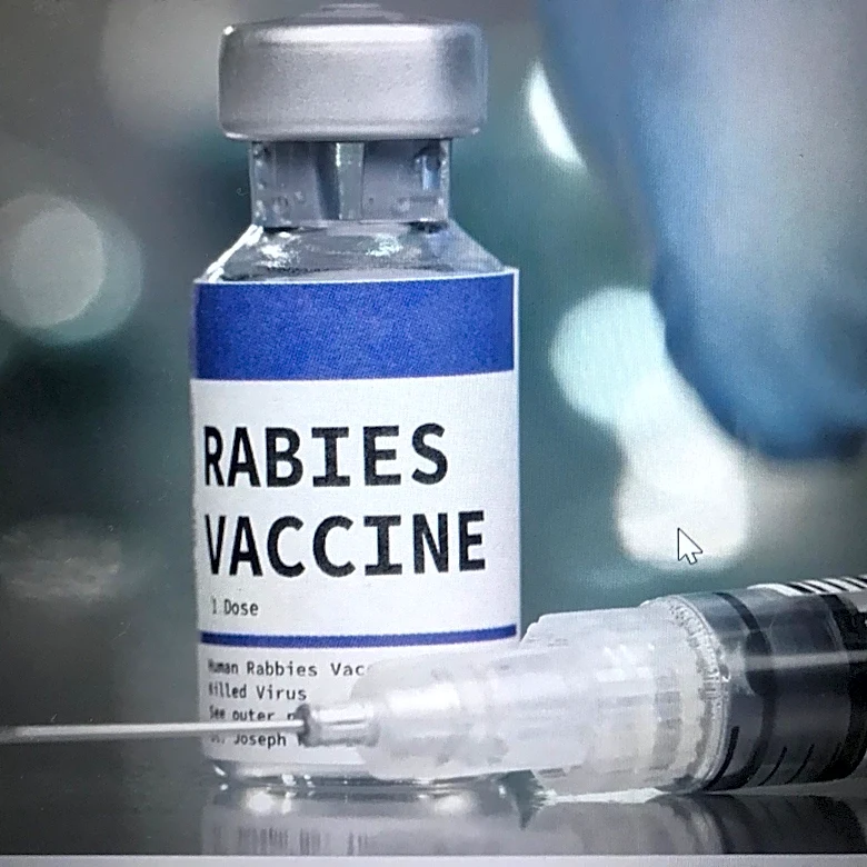 CDC raises rabies concerns in US. Comes after NC baby goats test positive