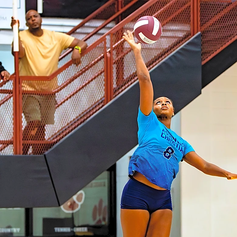 WNC high school volleyball's top 25 players at NCHSAA, NCISAA midseason