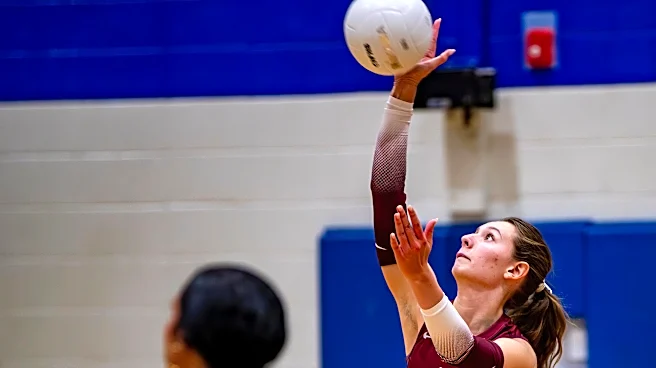 Vote for the All-WNC volleyball Player of the Year at midseason