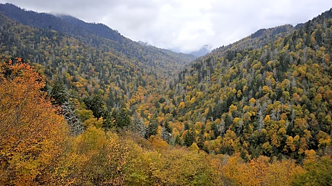 Western NC locations named best for apple picking and fall colors