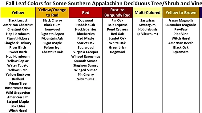 'Leaf peeping' season is coming to Western NC. Track leaf changes here