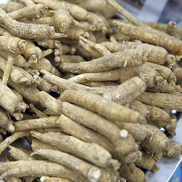 Two accused of ginseng poaching in Great Smoky Mountains