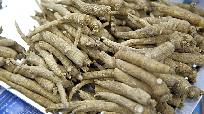 Two accused of ginseng poaching in Great Smoky Mountains