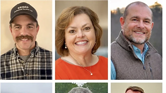 Issue of accountability to voters tackled in Madison commission forum