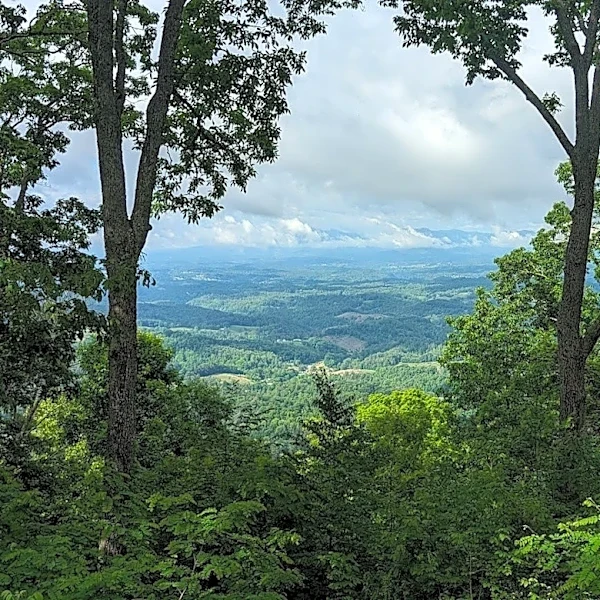 Mars Hill acquires one tract for conservation; still needs help with second