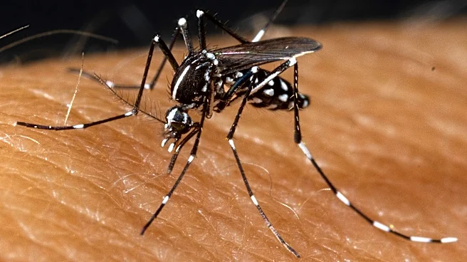 Two people die in North Carolina due to West Nile virus