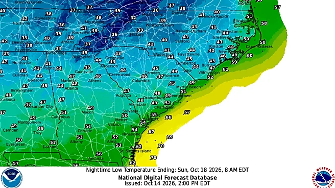 Cold snap forecast for Western North Carolina. Could there be frost?