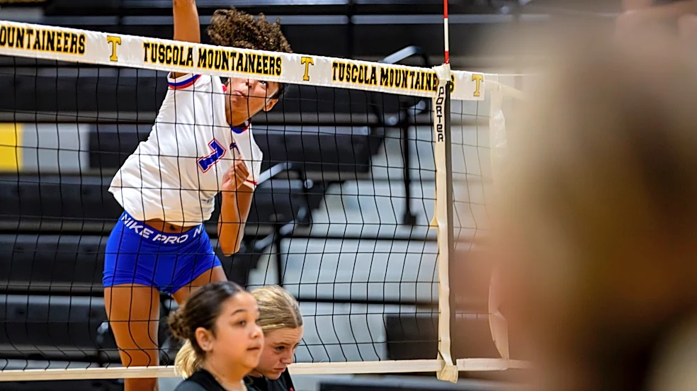 Vote for the All-WNC Volleyball Player of the Year ahead of NCHSAA playoffs