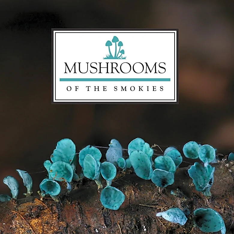 Word from the Smokies: New field guide demystifies mushrooming