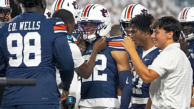 Tigers of the Game: Jordan, Mabson make names for themselves