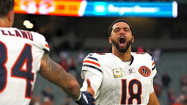 Bears have a great young core in place for the future