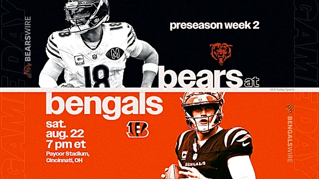What channel is Bears vs. Bengals on today? Time, TV schedule