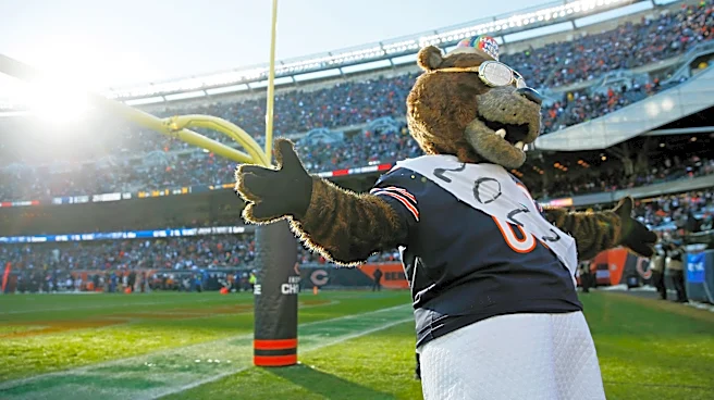 Disney's Bears NFL collaboration revealed