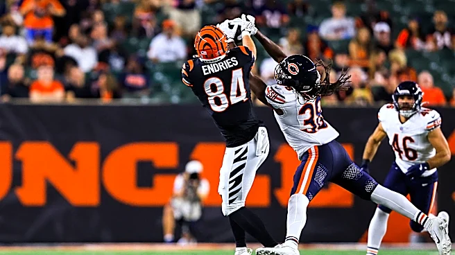 4 undrafted rookies made Chicago Bears' initial 53-man roster