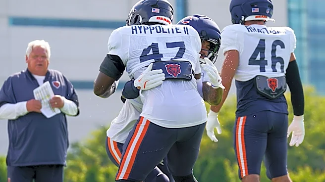Bears place LB Ruben Hyppolite on injured reserve